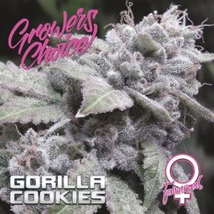 Gorilla Cookies