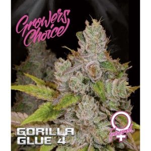 Monkey Glue