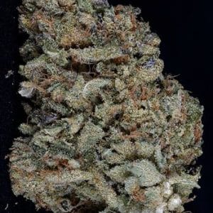 Gorilla Zkittelz by Big Head Seeds – Super Strength – Piney – Feminized – image 1 – Seed City