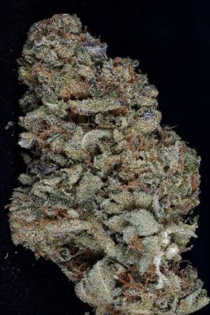 Gorilla Zkittelz