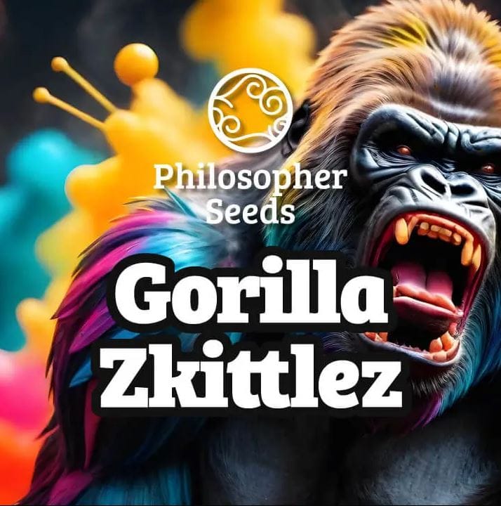 Gorilla Zkittles by Philosopher Seeds – Relaxing – Super Strength – Earthy – image 1 – Seed City