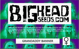 Grandaddy Banner
