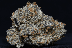 Grandaddy Purple