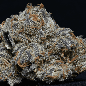 Grandaddy Purple by Big Head Seeds – Suited for indoor growing – Body Stone – Super Strength – image 1 – Seed City