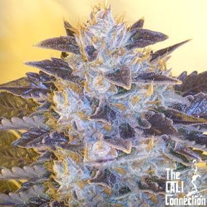 Grape OG