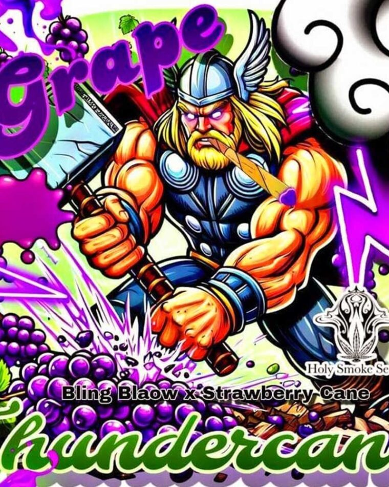 Grape ThunderCane by Holy Smoke Seeds – Grape – Indoor-friendly – 12/12 Photoperiod – image 1 – Seed City