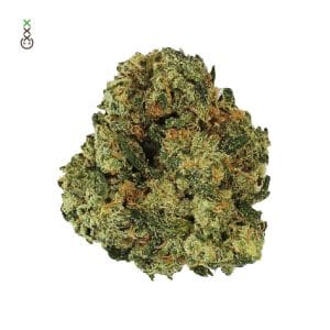 Grapefruit Superstar
