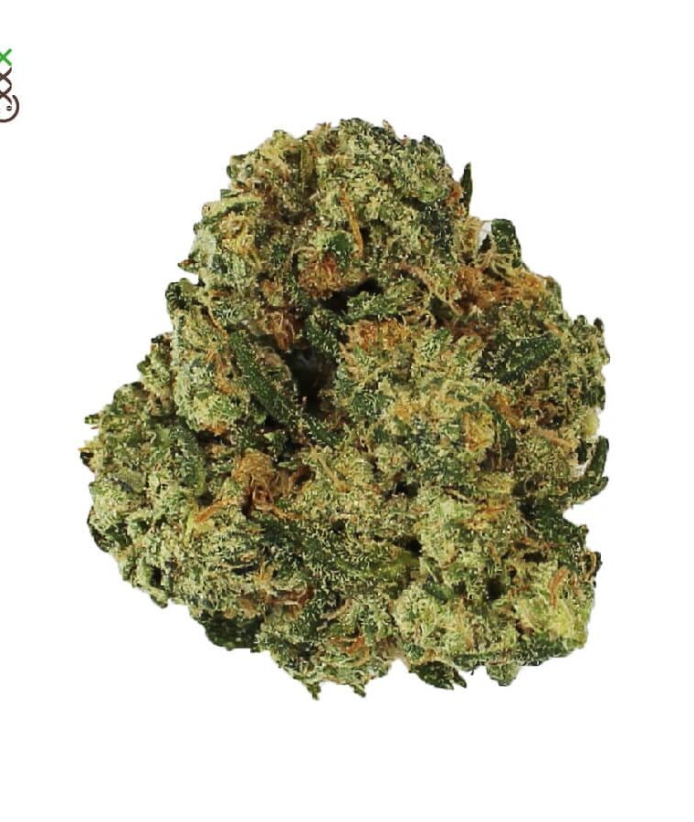 Grapefruit Superstar cannabis seeds – Euphoric – Sweet – Super Strength – image 1 from Seed City