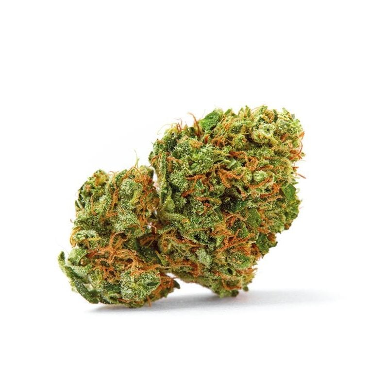Grapefruit x Bubblegum Auto cannabis seeds – Sweet – Mostly Sativa – High Yielding – image 1 from Seed City