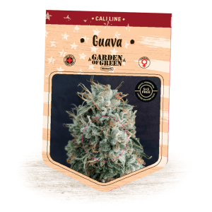 Guava from Garden of Green