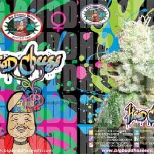 Head Cheese by Big Buddha Seeds – Sour – 12/12 Photoperiod – Good for outdoor grow – image 1 – Seed City