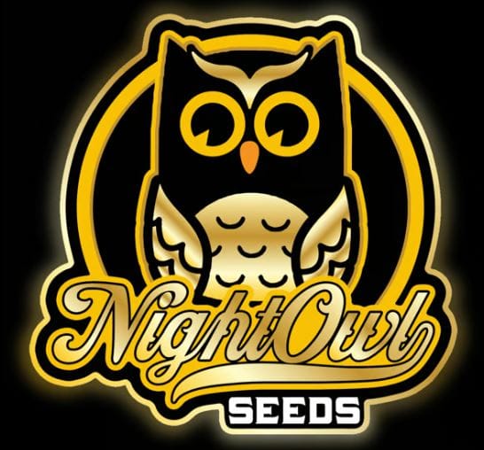 Hoodoo Mama Juju cannabis seeds – Earthy – Auto-Flowering – Uplifting – image 1 from Seed City