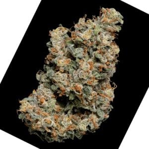 Jelly Donutz cannabis seeds – Feminized – 12/12 Photoperiod – Creative – image 1 from Seed City