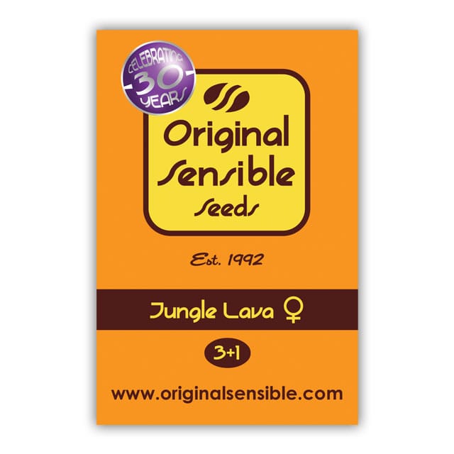 Jungle Lava by Original Sensible Seeds – Excellent harvest potential – Sweet – Super Strength – image 1 – Seed City