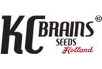 KC Brains logo