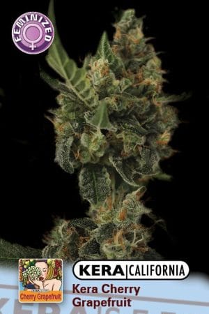 Kera California – Cherry Grapefruit