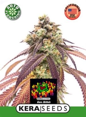 Kera Classic Auto – Zkittles Auto