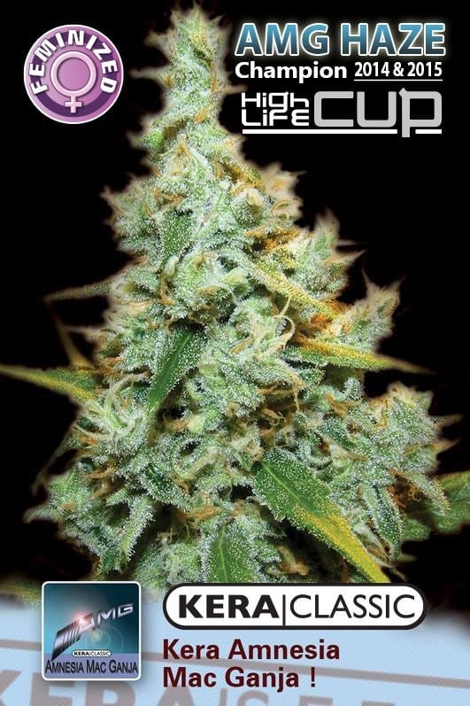 Kera Classic - Amnesia Mac Ganja! by Kera Seeds – Sativa Dominant – Spicy – Relaxing – image 1 – Seed City