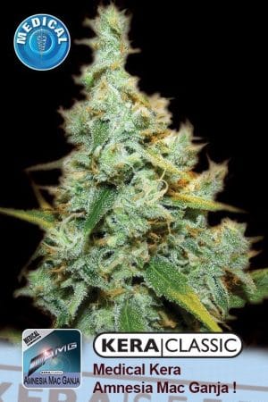 Kera Classic – Medical Amnesia Mac Ganja!