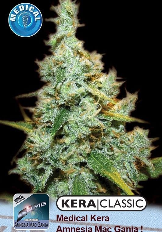 Kera Classic - Medical Amnesia Mac Ganja! cannabis – image 1 – Seed City