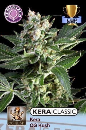 Kera Classic – OG Kush