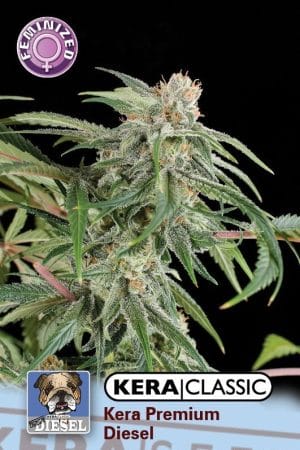 Kera Classic – Premium Diesel