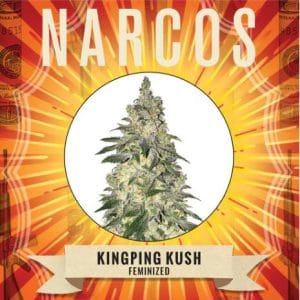 Kingpin Kush