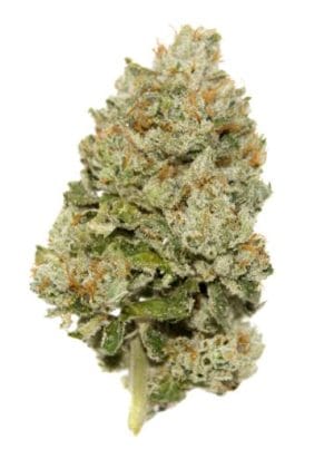 LIMITED EDITION Lemon Zkittlez Auto