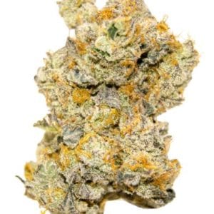LIMITED EDITION White Truffle Auto by Growers Choice – Indica Dominant – Happy – Auto-Flowering – image 1 – Seed City