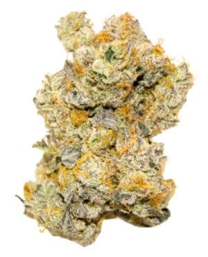 LIMITED EDITION White Truffle Auto