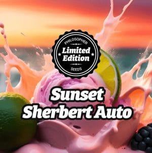 LIMITED EDITION Especial Sunset Sherbert Auto