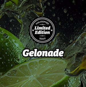 LIMITED EDITION Gelonade