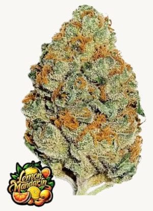 Lemon Mandarin