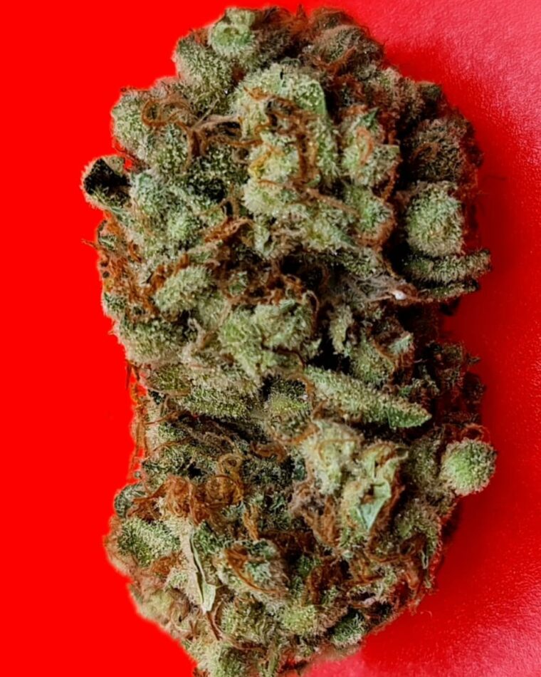 Lemon Sherbet from KC Brains