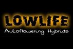 Lowlife Seeds logo