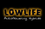 Lowlife Seeds