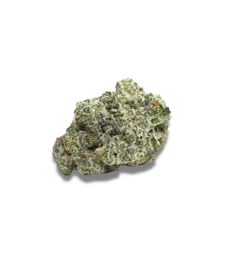 MAC1 Autoflower cannabis seeds – Suited for indoor growing – 50% Indica/50% Sativa – Feminized – image 1 from Seed City