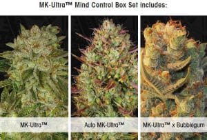 MK Ultra Mind Control Set