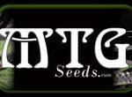 MTG Seeds logo