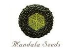 Mandala Seeds logo