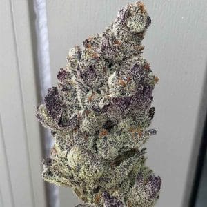 Image 1 of Marshmallow OG cannabis by Compound Genetics – Sweet – Good for outdoor grow – Female seeds – Seed City