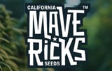 Mavericks Genetics