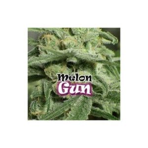 Melon Gum