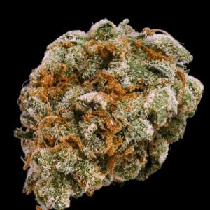 Mint Trufflez from TerpFarmz Seeds
