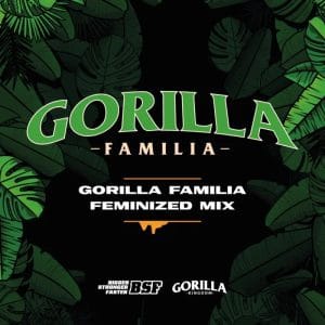 Mix Gorilla Familia
