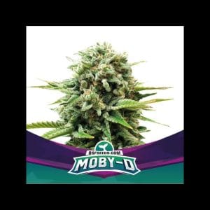 MobyD