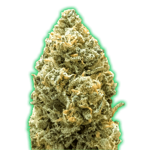 Monster Bruce Banner Auto