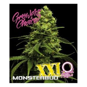 Monster Bud XXL Auto