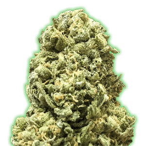 Monster Girl Scout Cookies