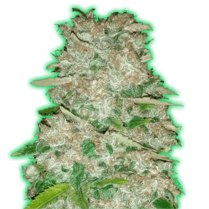 Monster Gorilla